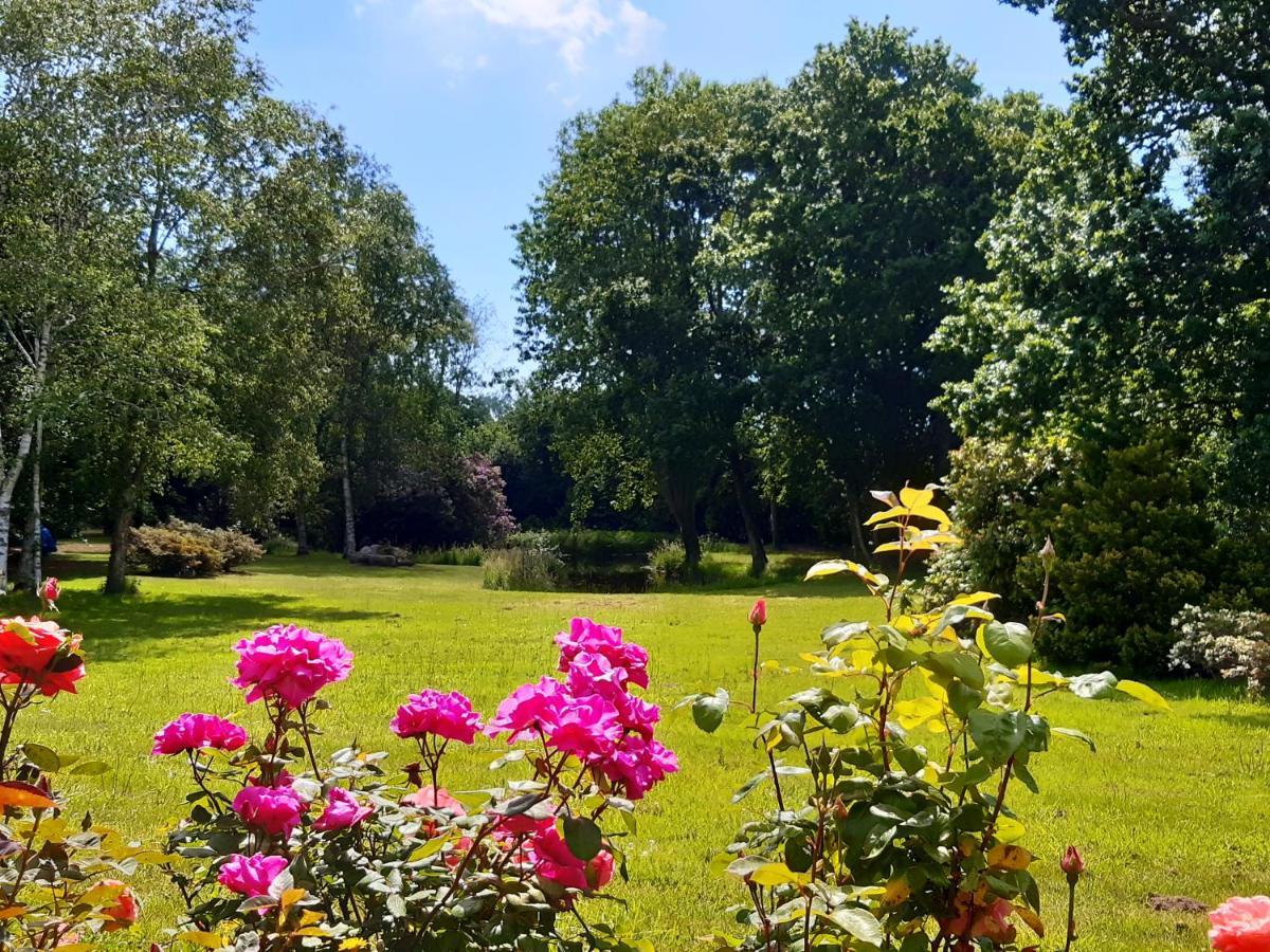 Agape, Elegant T2, 4 Etoiles, Et Gr34 3km, Centre 750m Apartment *